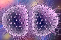 Bé gái bị nhiễm bệnh lậu từ hồ bơi nước nóng 