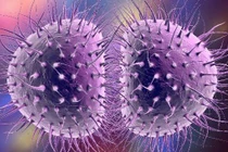 Bé gái bị nhiễm bệnh lậu từ hồ bơi nước nóng 