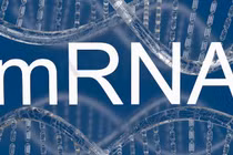 Văcxin HIV mRNA thử nghiệm có triển vọng