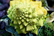 Làm thế nào súp lơ san hô hình thành các đường xoắn ốc?