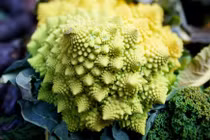 Làm thế nào súp lơ san hô hình thành các đường xoắn ốc?