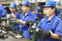 Hơn 50% lao động muốn nghỉ hưu sớm vì kiệt sức