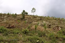 Ninh Bình “vô tư” để doanh nghiệp sử dụng hàng nghìn hecta đất miễn phí