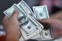 Giá USD có thể giảm nhẹ trong năm 2021