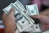Giá USD có thể giảm nhẹ trong năm 2021