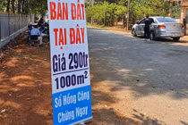 "Những "kẻ" tiếp tay khiến đất lên cơn sốt!"