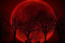 Nguyệt thực toàn phần vào ngày 28/7