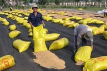 Việt Nam hoàn toàn có thể xuất khẩu 6,7 triệu tấn gạo