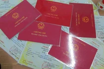 Loạn chứng chỉ hành công chức: Cần loại bỏ một kiểu 'giấy phép con'