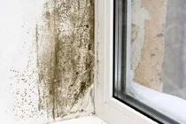 Xử lý nấm mốc khi trời nồm