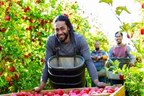 Tăng cường giới thiệu nông sản hữu cơ, New Zealand kỳ vọng nâng kim ngạch 2 chiều lên 2 tỷ USD