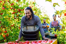 Tăng cường giới thiệu nông sản hữu cơ, New Zealand kỳ vọng nâng kim ngạch 2 chiều lên 2 tỷ USD