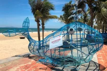 Mô hình “cá Bống xin rác” nhân rộng trên các bãi biển Đà Nẵng