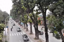 Ảnh: Đường Láng thay đổi bất ngờ, dân Thủ đô cứ ngỡ đang lạc vào đường phố Singapore