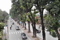 Ảnh: Đường Láng thay đổi bất ngờ, dân Thủ đô cứ ngỡ đang lạc vào đường phố Singapore