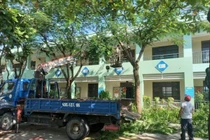 Trường học tỉa cây xanh chuẩn bị cho học sinh trở lại lớp.
