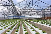 Làm công nghệ cao, đừng chạy theo dự án, đề tài