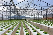 Làm công nghệ cao, đừng chạy theo dự án, đề tài