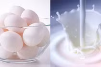 Ngăn chặn trước khi thoái hoá điểm vàng 