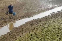 Hạn bà chằn là đợt khô hạn ngắn ngày