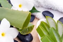 Công dụng làm đẹp và chống viêm kỳ diệu của lô hội