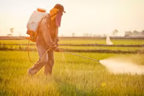 Công nghệ nano làm thay đổi nông nghiệp