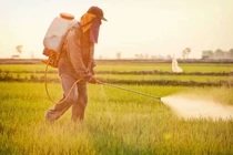 Công nghệ nano làm thay đổi nông nghiệp