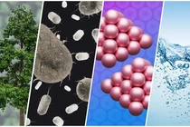 Vi sinh có thể sản xuất hydrocarbon bền vững cho công nghiệp hóa dầu