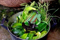 Xông hơi chữa cảm mạo đúng cách