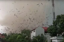 Nguyên nhân của lốc xoáy trong cơn giông