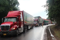 Nông sản lên “sàn” - tín hiệu mới trong chuyển đổi số nông nghiệp