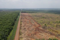 Khu đất thuộc dự án sân bay Long Thành. (Ảnh: TTXVN)