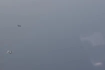 Cận cảnh Su-35 Nga ngăn chặn JAS 39 Gripen Thụy Điển, bảo vệ Tu-160 trên biển Baltic