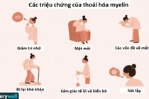 Thoái hóa myelin căn nguyên của nhiều loại bệnh lý thần kinh