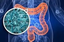  Xuất huyết dạ dày vì bổ sung men tiêu hóa khi đang uống kháng sinh