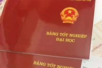 Bằng tại chức hay chính quy sẽ được ghi trong phụ lục?