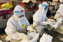 Hơn 30 quốc gia công nhận COVID-19 là bệnh nghề nghiệp