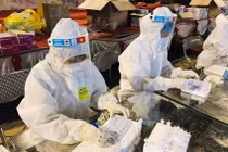 Hơn 30 quốc gia công nhận COVID-19 là bệnh nghề nghiệp