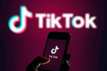 VNG kiện TikTok vì vi phạm bản quyền âm nhạc tại Việt Nam