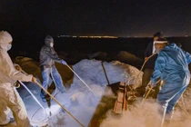 Biến thể Lambda Covid-19 mang đột biến bất thường, có khả năng kháng vắc xin