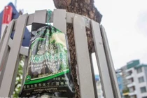 Có hồi sinh được hàng sưa đỏ trên đường Nguyễn Văn Huyên?