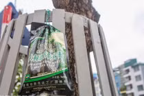 Có hồi sinh được hàng sưa đỏ trên đường Nguyễn Văn Huyên?