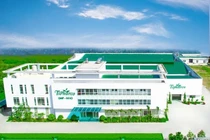 Tipharco tăng cường sản xuất thuốc từ dược liệu