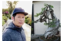 Nhà Bằng Kiều tại Mỹ bị trộm đột nhập "khoắng" cây cảnh siêu đắt đỏ