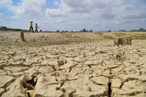 Tích nước mưa đề phòng hạn hán