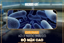 Chế phẩm vi sinh vật chịu mặn