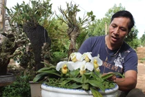 Người “khoác áo mới” cho cao nguyên Mộc Châu