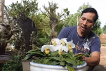 Người “khoác áo mới” cho cao nguyên Mộc Châu