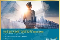 BAC A BANK đồng hành cùng doanh nghiệp vững bước kinh doanh