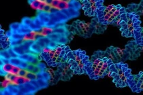 Tìm điểm nổi trội trong gene